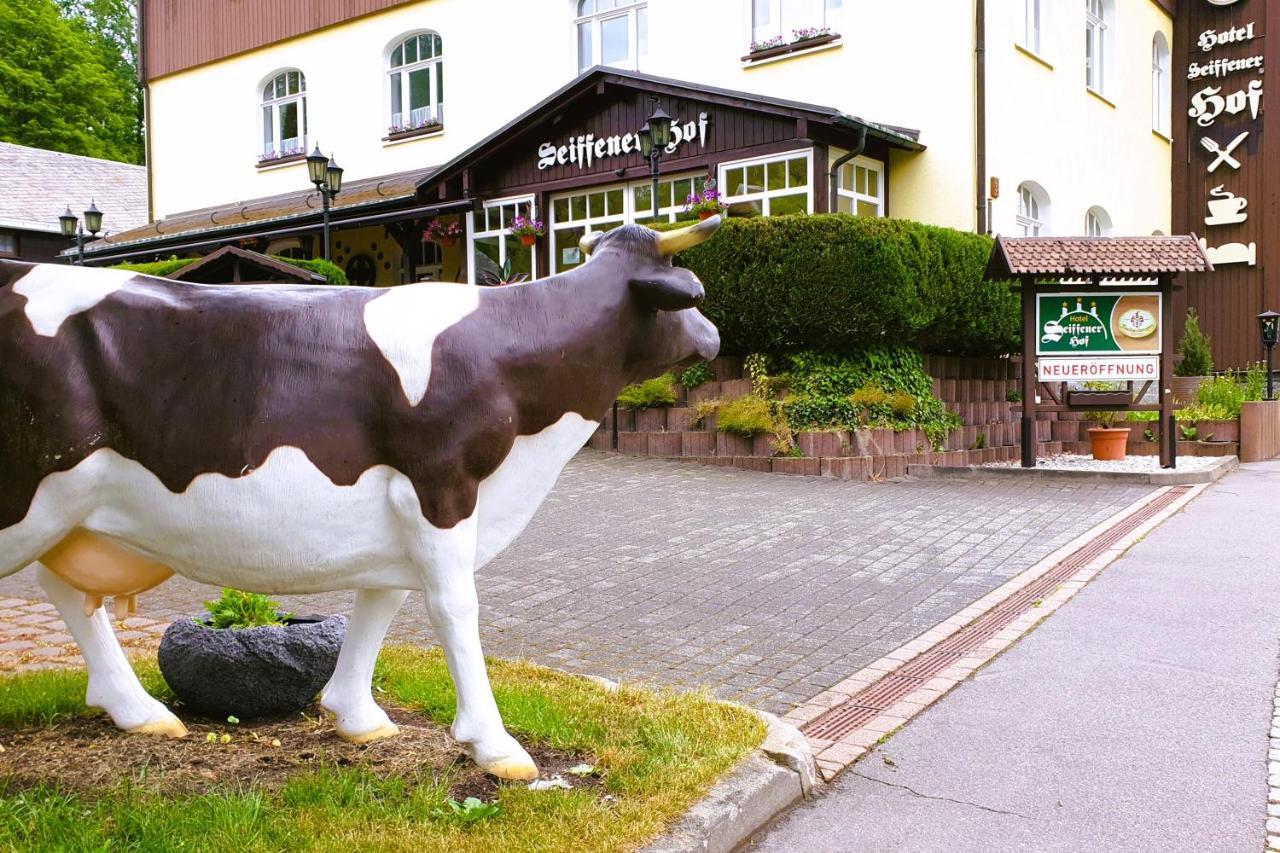 Hotel Seiffener Hof*** Kültér fotó
